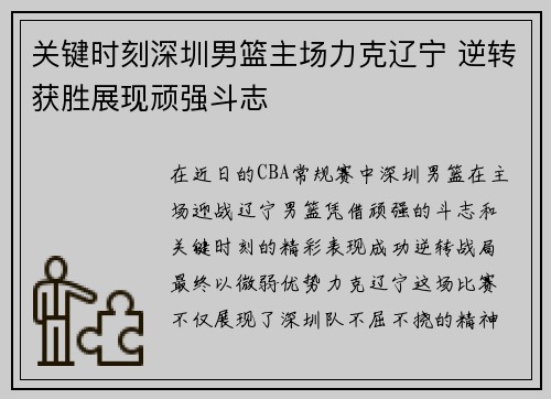 关键时刻深圳男篮主场力克辽宁 逆转获胜展现顽强斗志