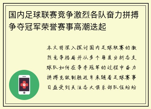 国内足球联赛竞争激烈各队奋力拼搏争夺冠军荣誉赛事高潮迭起